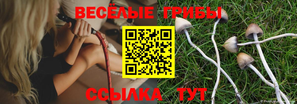 Галлюциногенные грибы мухоморы  Вход с VPN  дарнет шоп  Каменка 